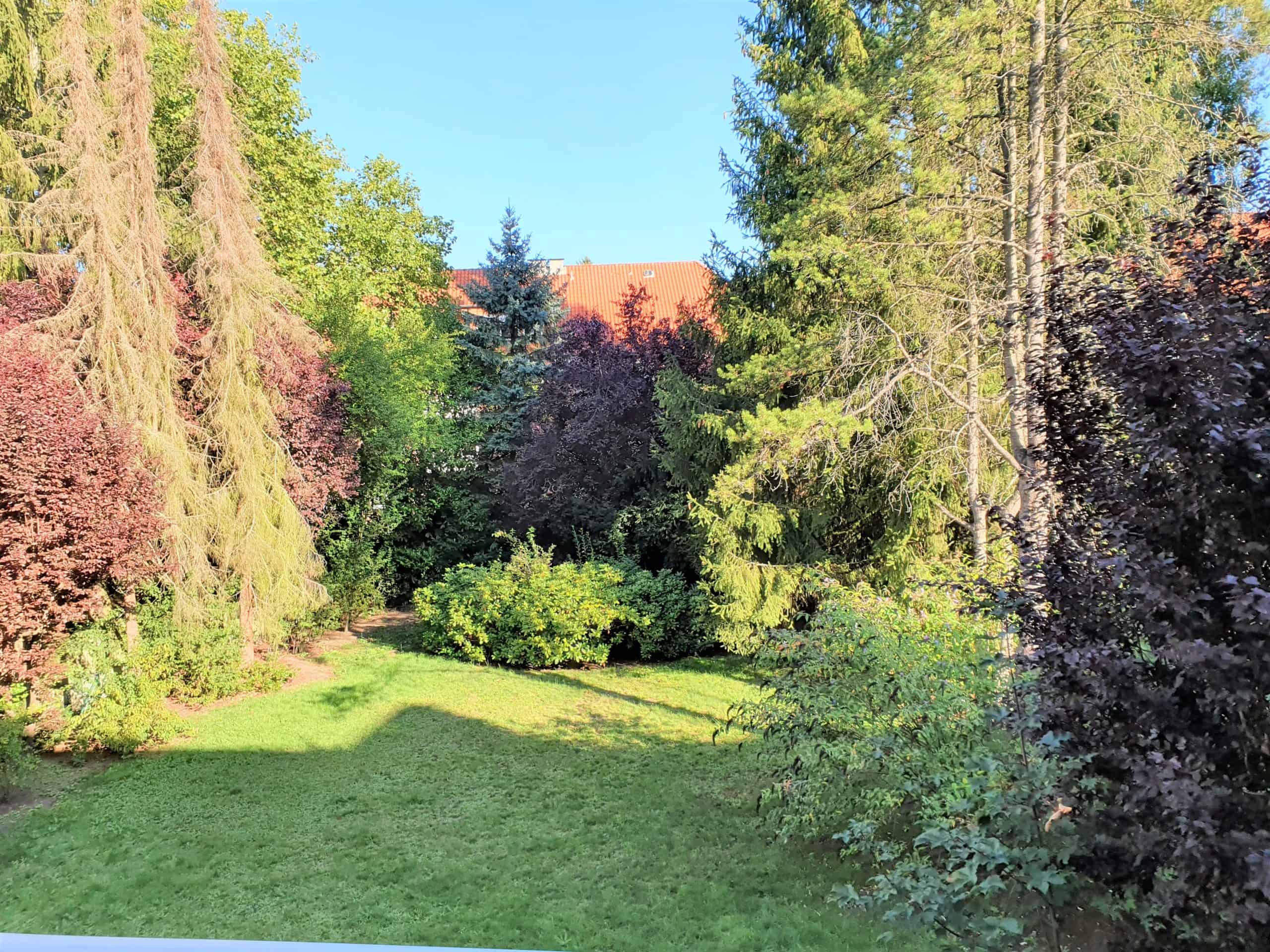 Blick in den Garten vom rückwärtigen Balkon